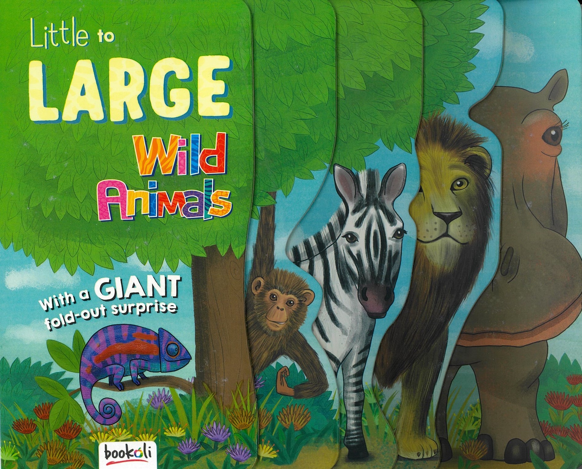 Little to Large Wild Animals